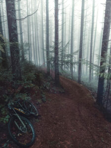 moody mountain biking trails